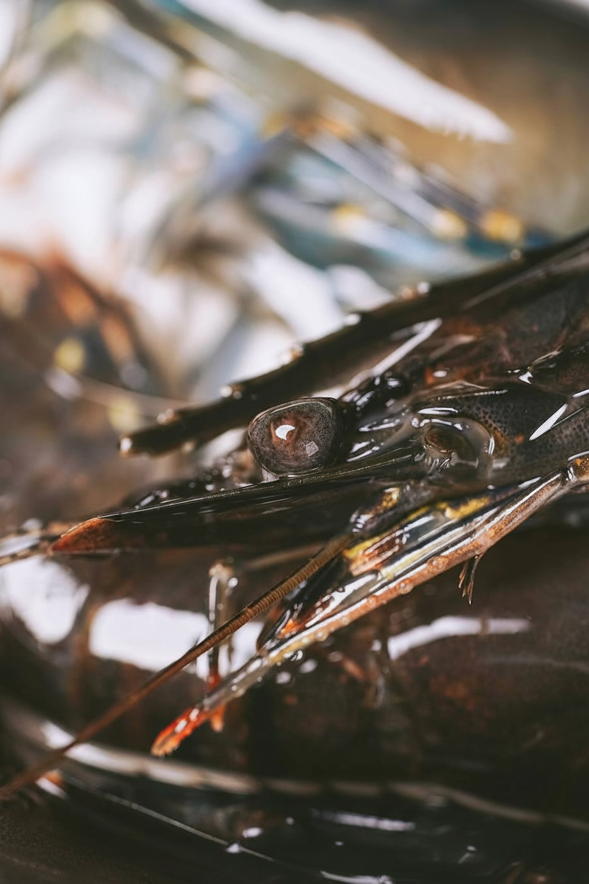 TOP-GRADE BLACK TIGER PRAWNS